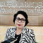 Veridiana Huraq Wang