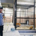 Harimau makan orang di samarinda