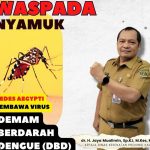 3 Tahun Ada 50 Anak di Kaltim Meninggal Akibat DBD