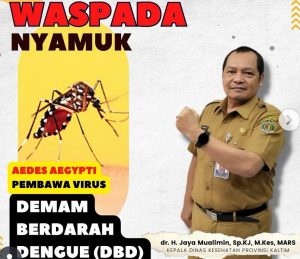 3 Tahun Ada 50 Anak di Kaltim Meninggal Akibat DBD