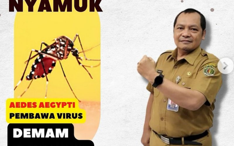 3 Tahun Ada 50 Anak di Kaltim Meninggal Akibat DBD